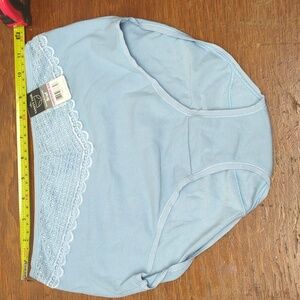 6/M Vanity Fair 1 Brief panties HarborHaze Blue 13128 NWT 92% cotton